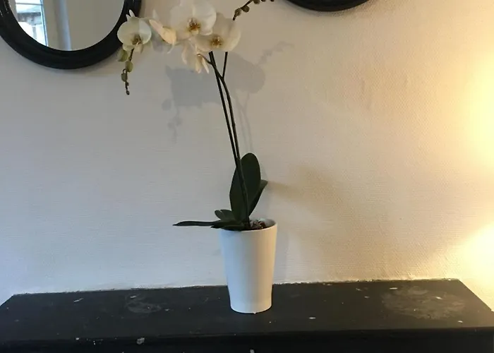 Apartment Cosyrouen Gare *